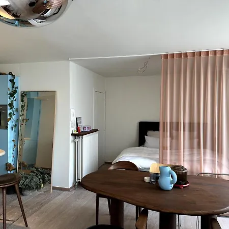 Апартаменты Downtown Гент